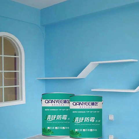 Clear flavor anti mold water paint I-107#
