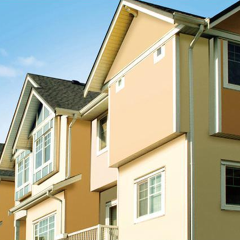 Functional exterior wall paint E-203#
