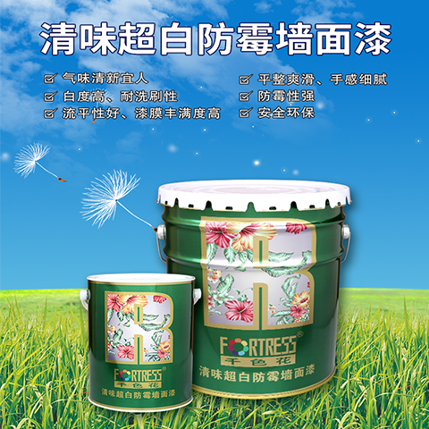 A3000 Clear Taste Super White Mold proof Wall Paint
