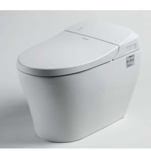 Integrated intelligent toilet
