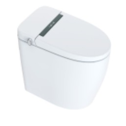 Intelligent toilet