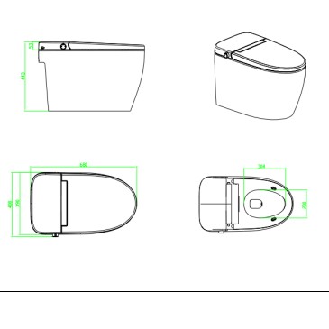 Intelligent toilet