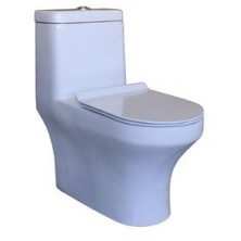 Integrated toilet