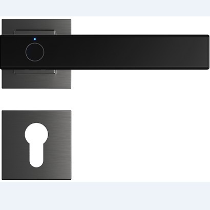 Split door intelligent lock