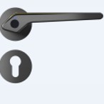 Split door intelligent lock