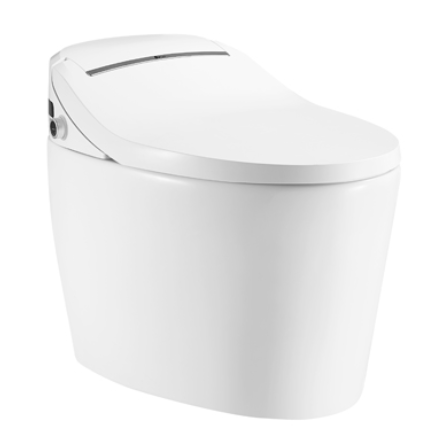 Intelligent toilet W8121C05T/FZQ
