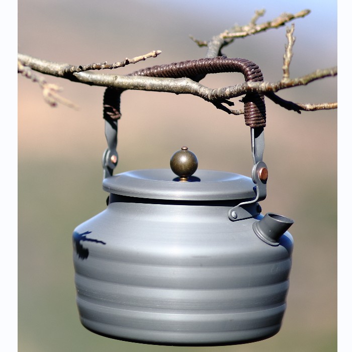 Look for Tang Dynasty kettle