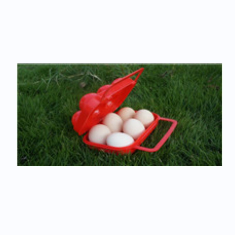 Egg box